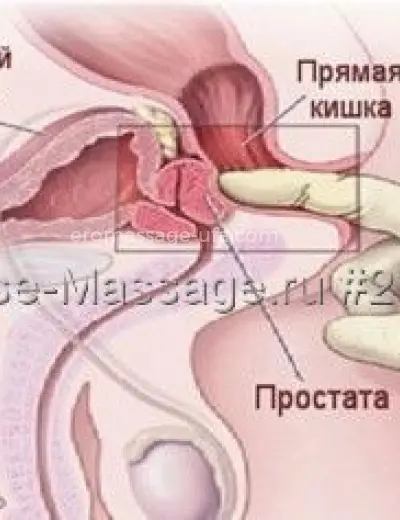 Массажистка Светлана - Фото 5 №807